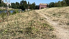 Kolem �eky Moravy jsou vid�t výrazné dopady sucha, podle kritik� hlavn�...