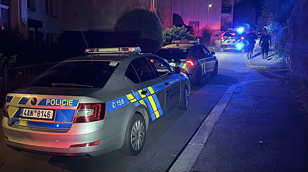 Policejní honička noční Prahou. Řidič vezl nezletilou dívku, oba byli pod vlivem drog