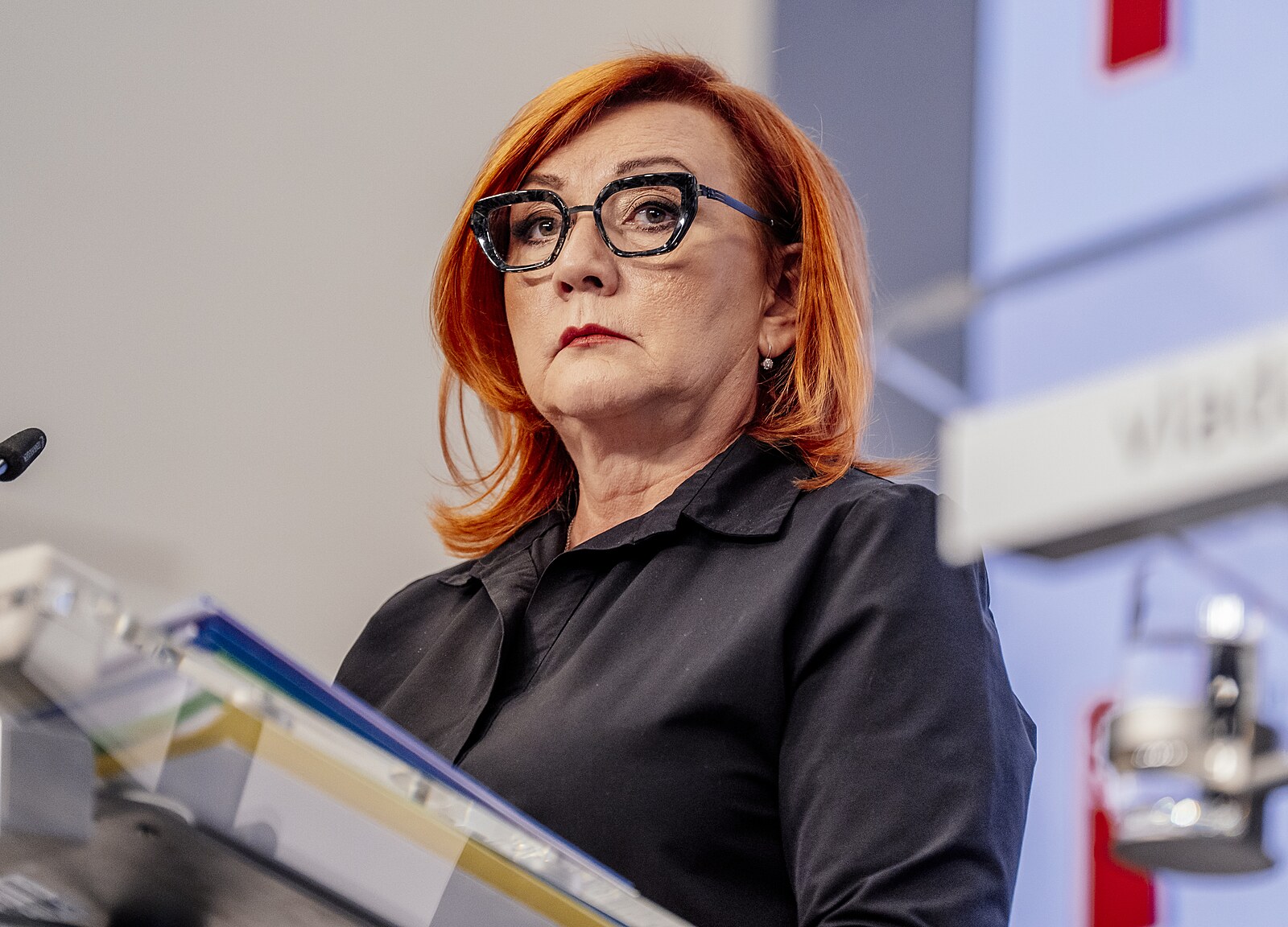 Rozpočet 2027: kde ještě řezat? Máme značný problém, ale zatím ne dluhovou krizi | Názory