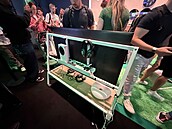 IKEA herní kolekce nábytku pro Xbox