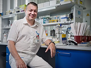 Jaroslav Hrabák, vedoucí Biomedicínského centra Léka�ské fakulty Univerzity...