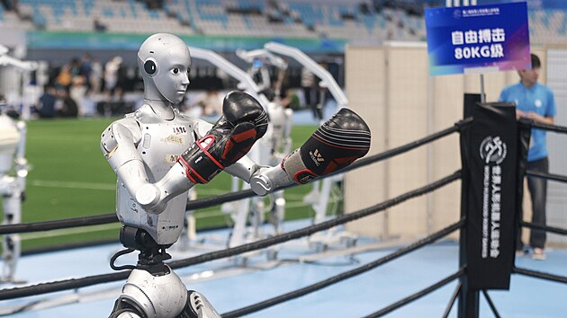 Roboti se b�hem Sv�tov�ch her humanoidn�ch robot� utkaj� ve sportovn�ch i praktick�ch discipl�n�ch.
