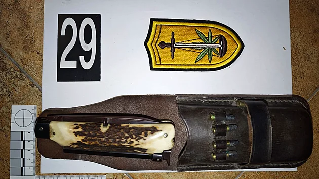 Policie obvinila �est lid�, kte�� podle nich z Egypta pa�ovali prekurzory k v�rob� pervitinu a prod�vali drogy. (28. srpna 2026)