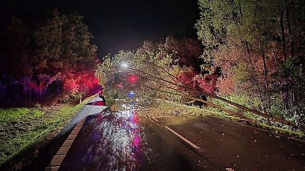 Hasi�i v Moravskoslezském kraji po no�ní bou�ce hlavn� odstra�ovali spadlé...