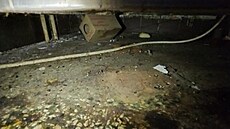 Státní zem�d�lská a potraviná�ská inspekce uzav�ela restauraci Hotelu...