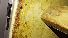 Státní zem�d�lská a potraviná�ská inspekce uzav�ela restauraci Hotelu...