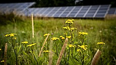 Fotovoltaické elektrárny nemusí být v krajin� pouze technickými stavbami pro...