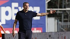 Spar�anský trenér Brian Priske b�hem utkání proti Artisu Brno