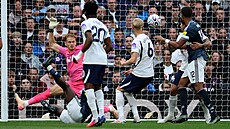 Branká� Antonín Kinský z Tottenhamu inkasuje gól od Yoane Wissy z Newcastlu.