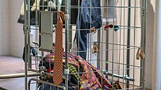 Wasted Waste bude k vid�ní od 7. do 11. 10. v Praze 1.