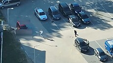 Kriminalisté a �lenové zásahové jednotky zadr�eli kurýra, který si p�i�el pro...