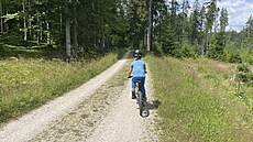 Schwarzenberský kanál. Na cyklostezce kolem kanálu se st�ídá asfalt a �otolina,...