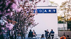 Kino art v Brn�