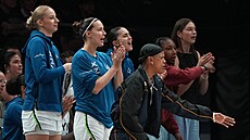 Lavi�ka Minnesota Lynx, gestikuluje Courtney Williamsová, nad ní Eli�ka...
