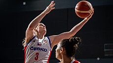 �eská pivotka Alena Hanu�ová zakon�uje na turecký ko�.