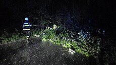 Hasi�i v Královéhradeckém kraji b�hem noci zasahovali celkov� u 50 událostí.