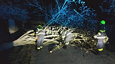 Po�así zam�stnalo hasi�e na Vyso�in�. Od v�erej�í 18. hodiny do dne�ní 8....