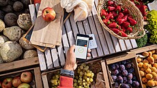 Moderní platební metody a karty v mobilu p�iná�ejí rychlost a pohodlí nejen p�i...