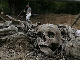 Mladi� byl pova�ován za jednoho z hlavních aktér� etnických �istek...
