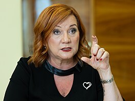 Ministryn� financí Alena Schillerová (31. srpna 2026)