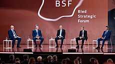 Evropa není v nejlep�í form�, varoval Babi� na strategickém fóru. (31. srpna...