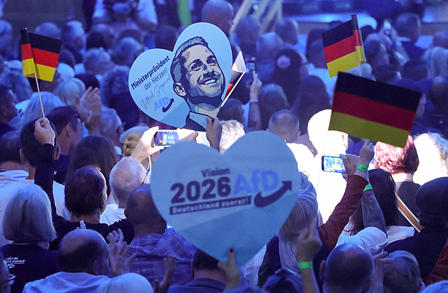 Poslední mobilizace příznivců. AfD proti CDU a spol. I malým stranám jde o hodně