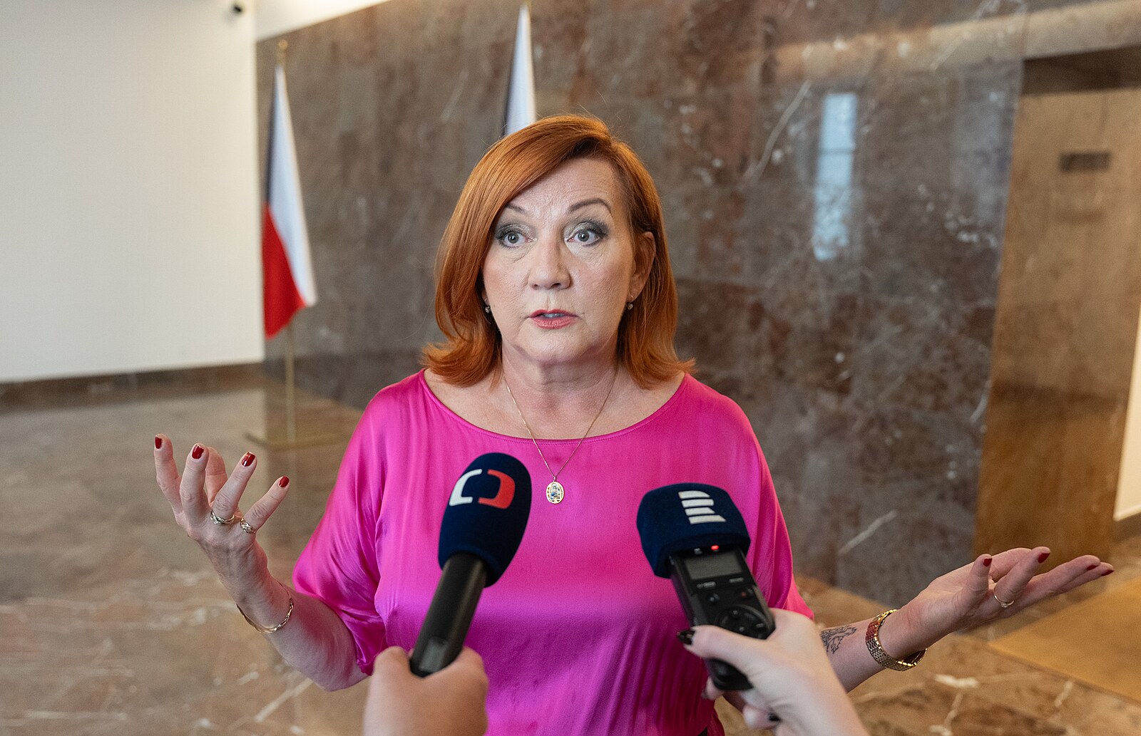 Babiš se Schillerovou obhajovali návrh schodku rozpočtu před poslanci SPD