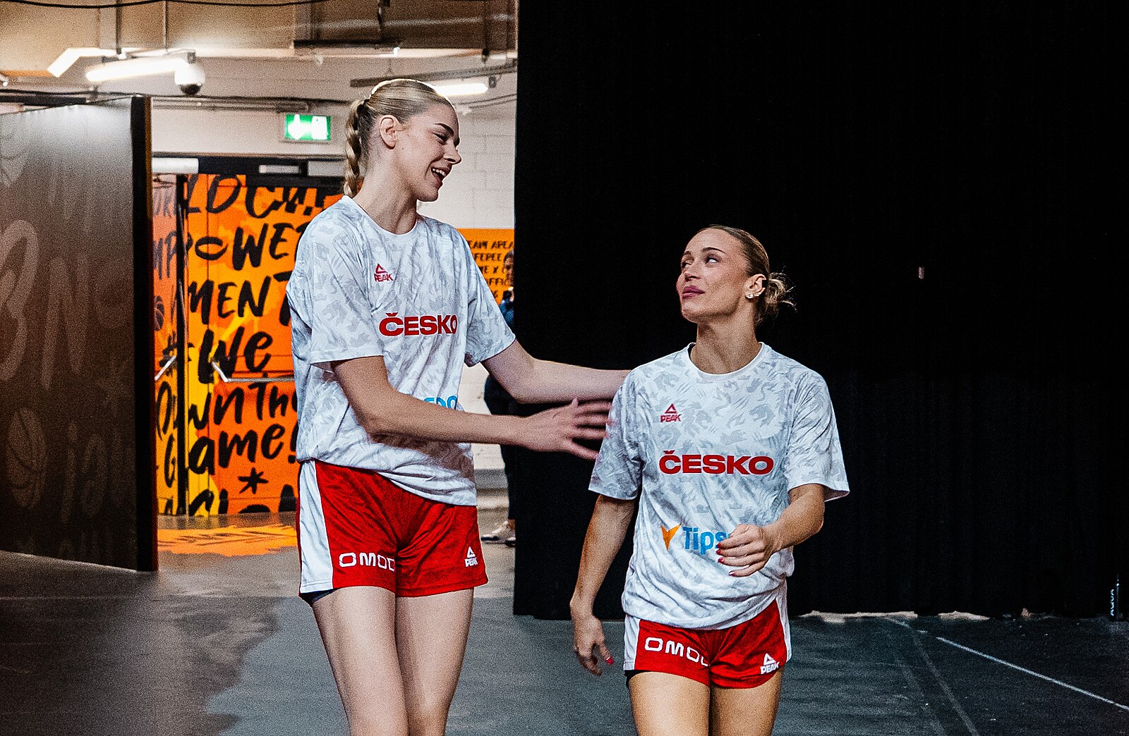 Basket ONLINE: Poslední zápas Češek na MS v Berlíně. Čelí americkým hvězdám
