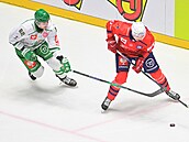 Momentka z utkání Ligy mistr� mezi Pardubicemi a Rögle.