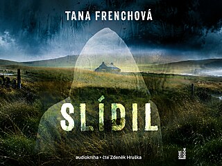 Slídil