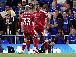 Alexander Isak z Liverpoolu slaví gól proti Ipswichi.