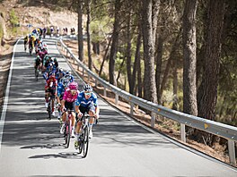 Peloton ve 13. etap� Vuelty.