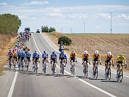 Nata�ený peloton v 17. etap� Vuelty.