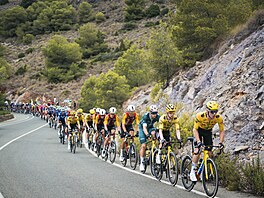 ANI CHVILKA ODPO�INKU. Peloton v 11. etap� Vuelty.