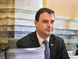 Ministr zahrani�í a p�edseda Motorist� sob� Petr Macinka p�i jednání vlády (7....