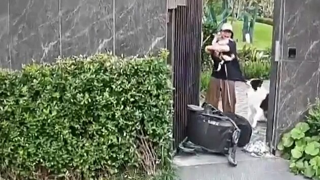 Žena chránila štěně vlastním dítětem před útokem psa