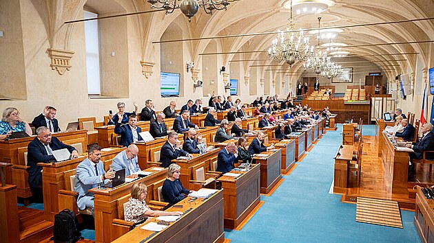 Senát plný lokálních celebrit. Kde jsou osobnosti s politickým rozhledem?