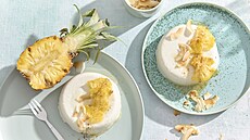 Kokosová panna cotta