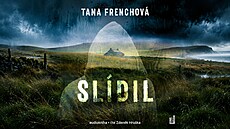 Slídil