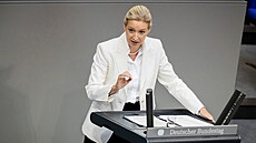 Spolup�edsedkyn� AfD Alice Weidelová ve Spolkovém sn�mu (9. zá�í 2026)