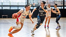 Monika Fu�íková b�hem p�ípravného utkání s Koreou.