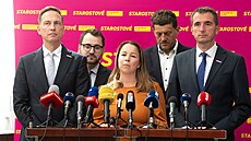 Tisková konference poslaneckého klubu Starostové. Na snímku Karel Dvo�ák, Jan...