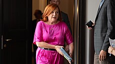 Tisková konference poslaneckého klubu hnutí ANO. Na snímku Karel Havlí�ek....