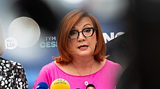 Tisková konference poslaneckého klubu hnutí ANO. Na snímku Alena Schillerová....
