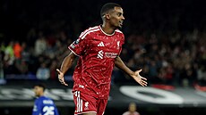 Alexander Isak z Liverpoolu slaví gól proti Ipswichi.