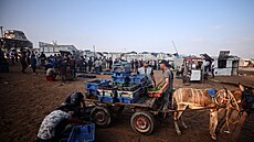 Palestinci se shroma��ují u beden s rybami ur�enými k prodeji v p�ístavu v...