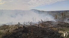Hasi�i na ��ársku bojují s lesním po�árem u obce Chlébské. Situace si vy�ádala...