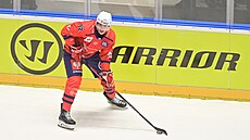 Tomá� Nosek z Pardubic b�hem zápasu Ligy mistr� proti GKS Tychy.