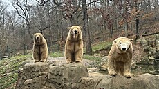 Festival sme�ky ovládne Zoo Brno. Propojí se zví�ata, p�íroda i zábava