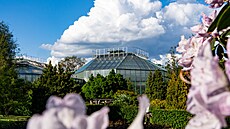 Být zahradník je cool: Ze zákulisí Botanické zahrady Liberec